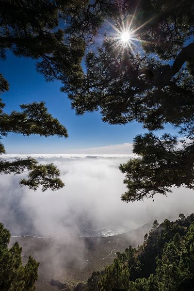 Canary Islands-El Hierro Island-Mirador de las Playas-elevated view of the east coast with fog